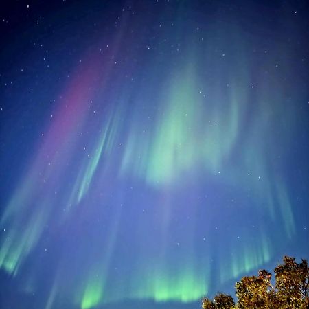 Cosy Tromso Apartment Ngoại thất bức ảnh